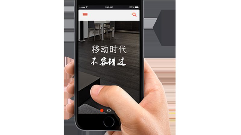 行业现状：定制化需求与专业服务的碰撞